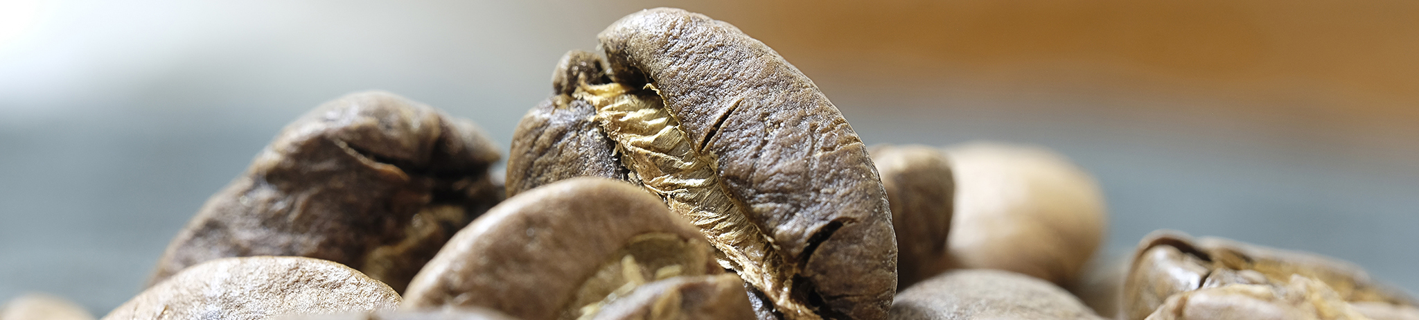 Coffee Beans. Photo by Flavio.R Spedalieri Coffee Beans. Photo by Flavio.R Spedalieri
