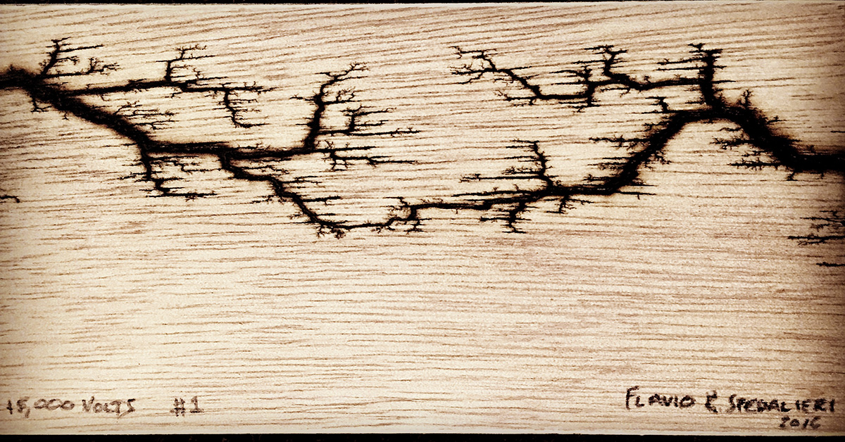 Lichtenberg Figure